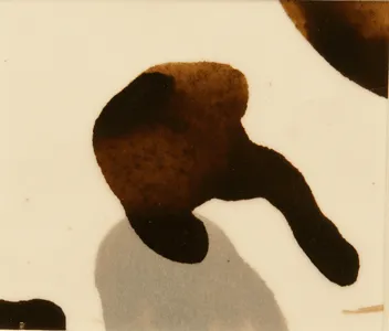 Erdpech, Werk 13 von 14, 9,2 × 10,8 cm — Pia Schläppi