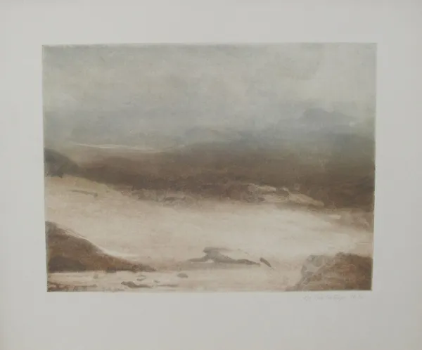Tiefdruck / Monotypien Gumprint, Werk 6 von 47 — Pia Schläppi
