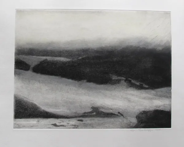 Tiefdruck / Monotypien Gumprint, Werk 7 von 47 — Pia Schläppi
